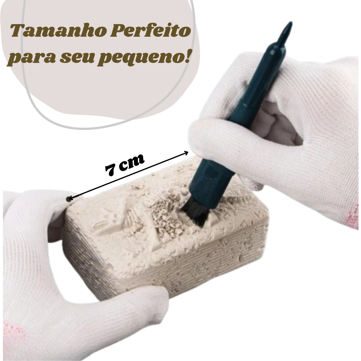 Brinquedo Kit Arqueologia Dinossauro Dino Fóssil Escavação Brinquedo Kit Arqueologia Dinossauro Dino Fóssil Escavação